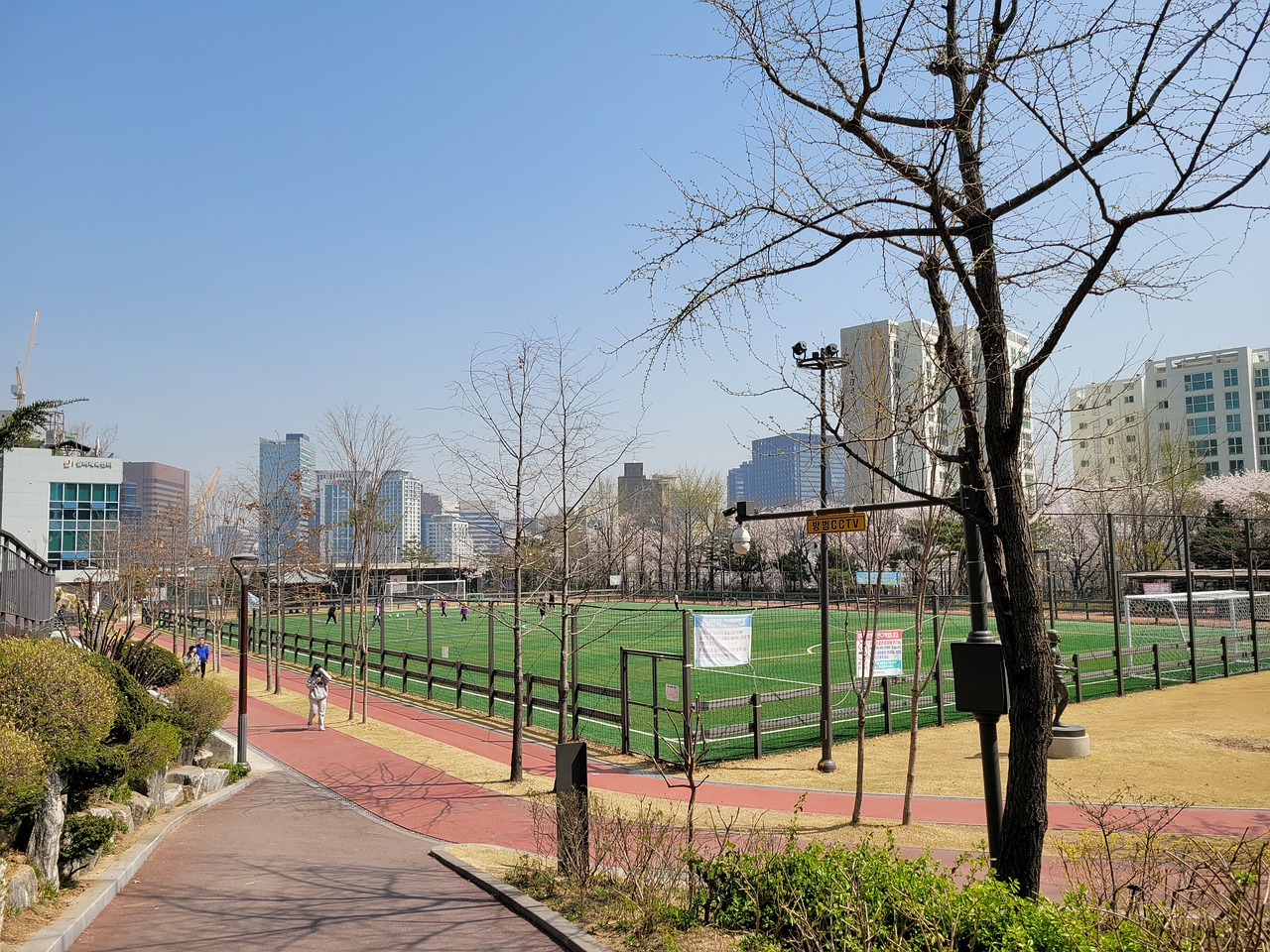 与其他冠军