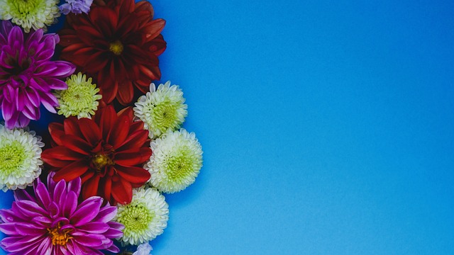 同時依據每 同時依據每