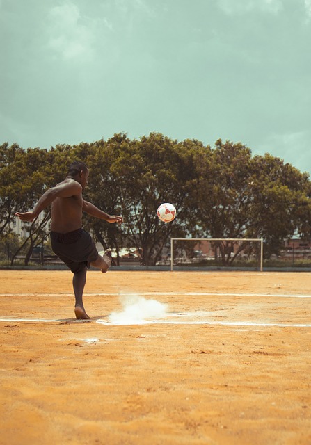 的年輕後衛 的年輕後衛
