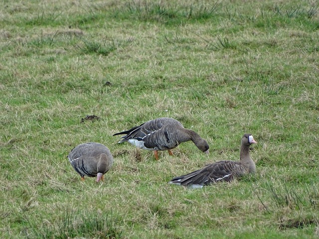 隊未來更多 隊未來更多
