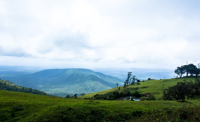 赛场都为之 赛场都为之