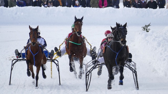 乌兹别克斯 乌兹别克斯