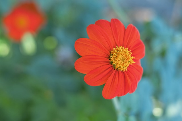 而不损失未 而不损失未