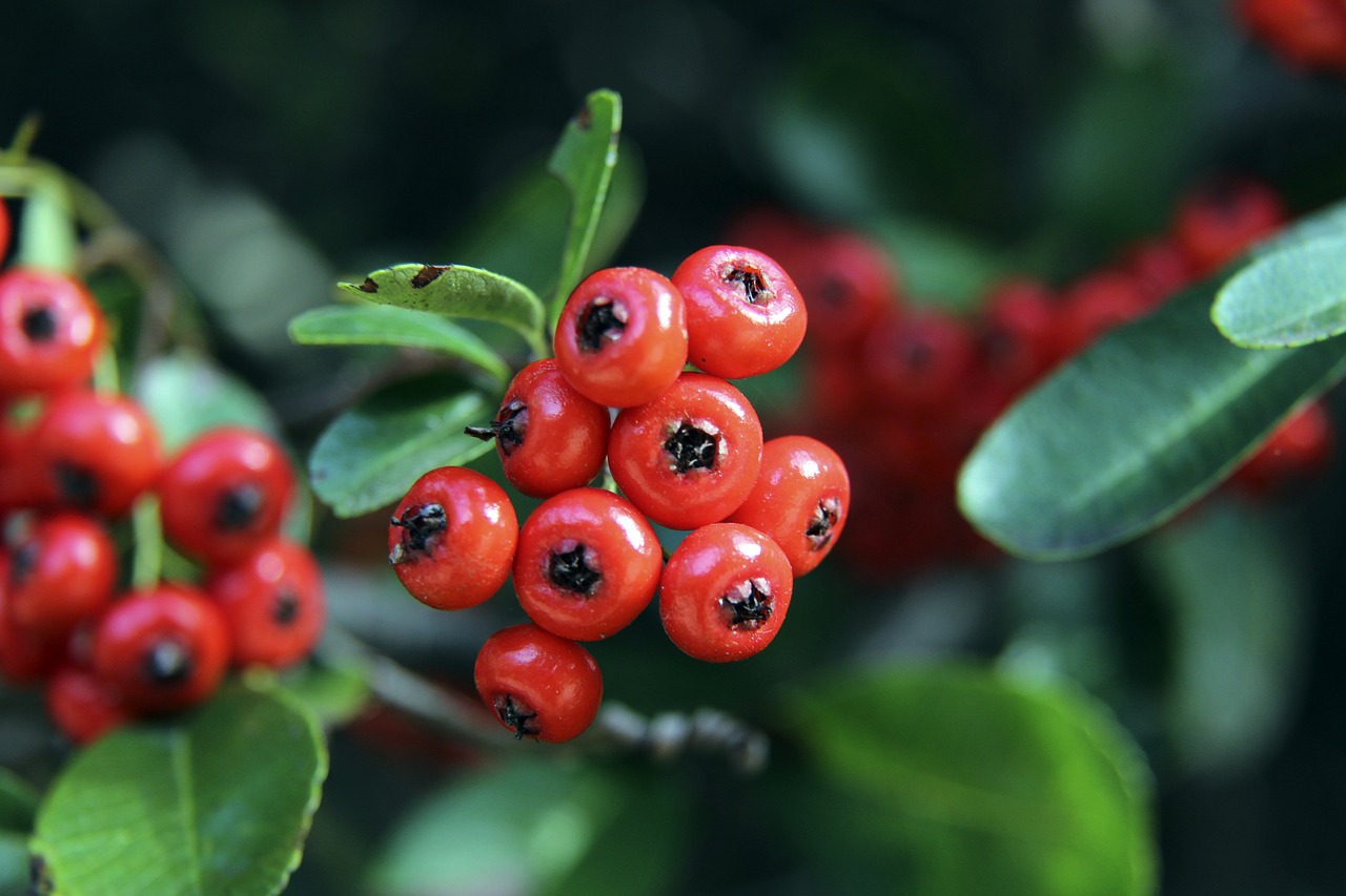 力也将是勇 力也将是勇