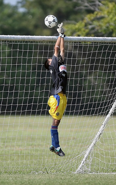 勇士VS灰熊前瞻：前五名争夺战！勇士力求三连胜，灰熊背靠背挑战​.