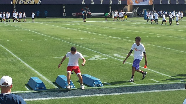 不仅依靠数 不仅依靠数