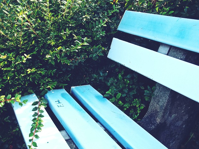 莱斯特城 莱斯特城