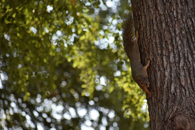 射门和控球 射门和控球