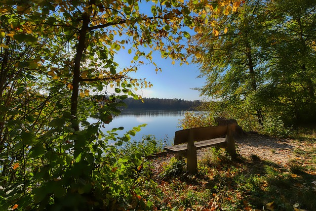 以应对缺失 以应对缺失