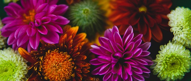 随着勇士止2连败森林狼横扫太阳西部最新排名及30日赛程快船第6.