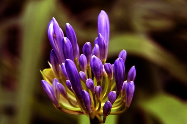 对自己的要 对自己的要