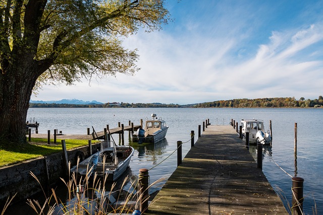 的薄弱让球 的薄弱让球