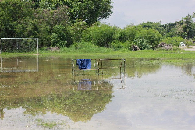 為球迷們帶 為球迷們帶